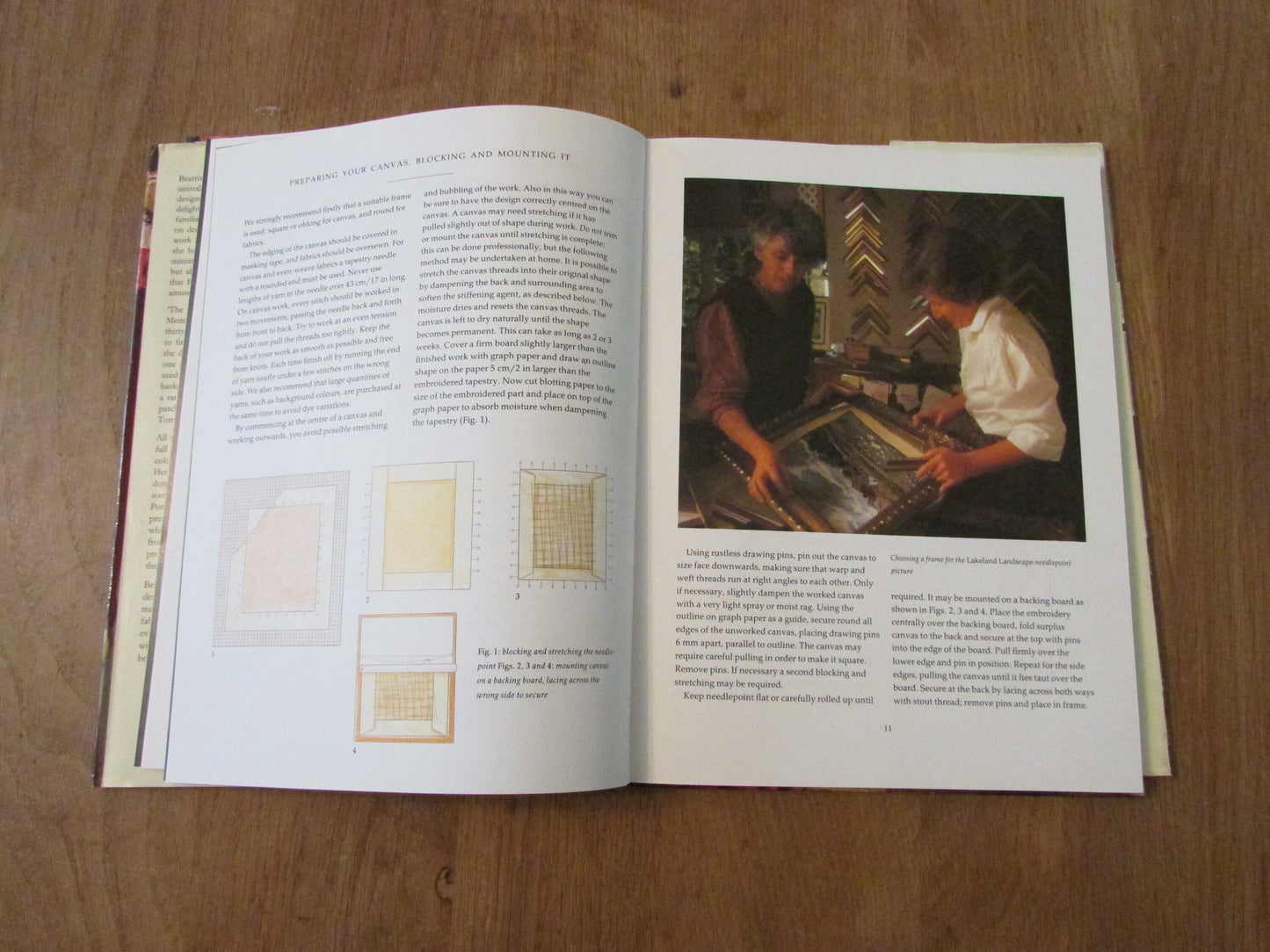 The Beatrix Potter Needlepoint Book, by Pat Menchini (Hardback, 1990)