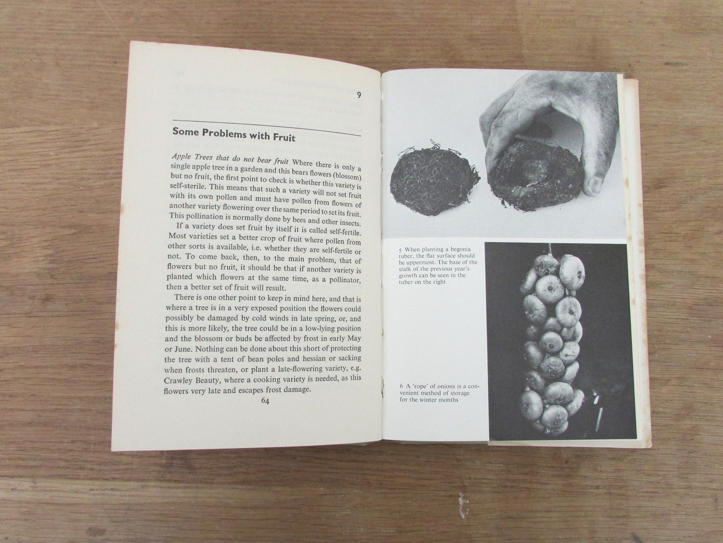 Your Garden Problems, by W. H. Lewis (Hardback, 1965)