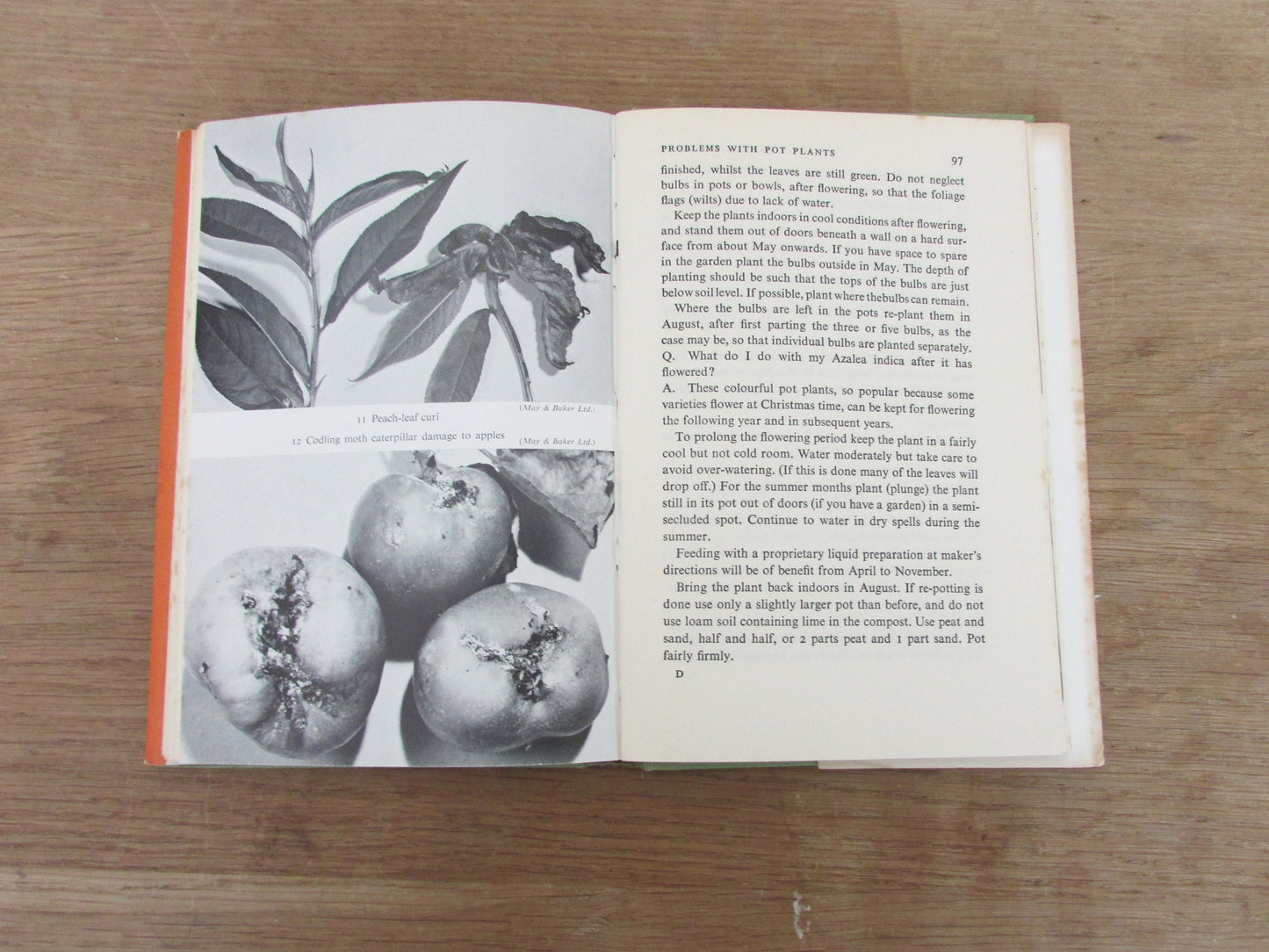 Your Garden Problems, by W. H. Lewis (Hardback, 1965)