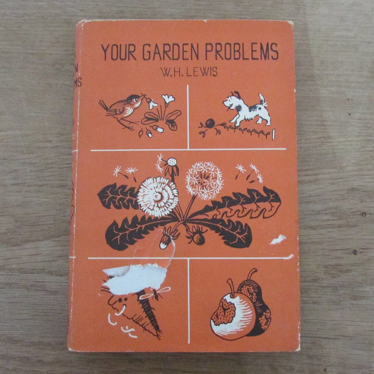 Your Garden Problems, by W. H. Lewis (Hardback, 1965)
