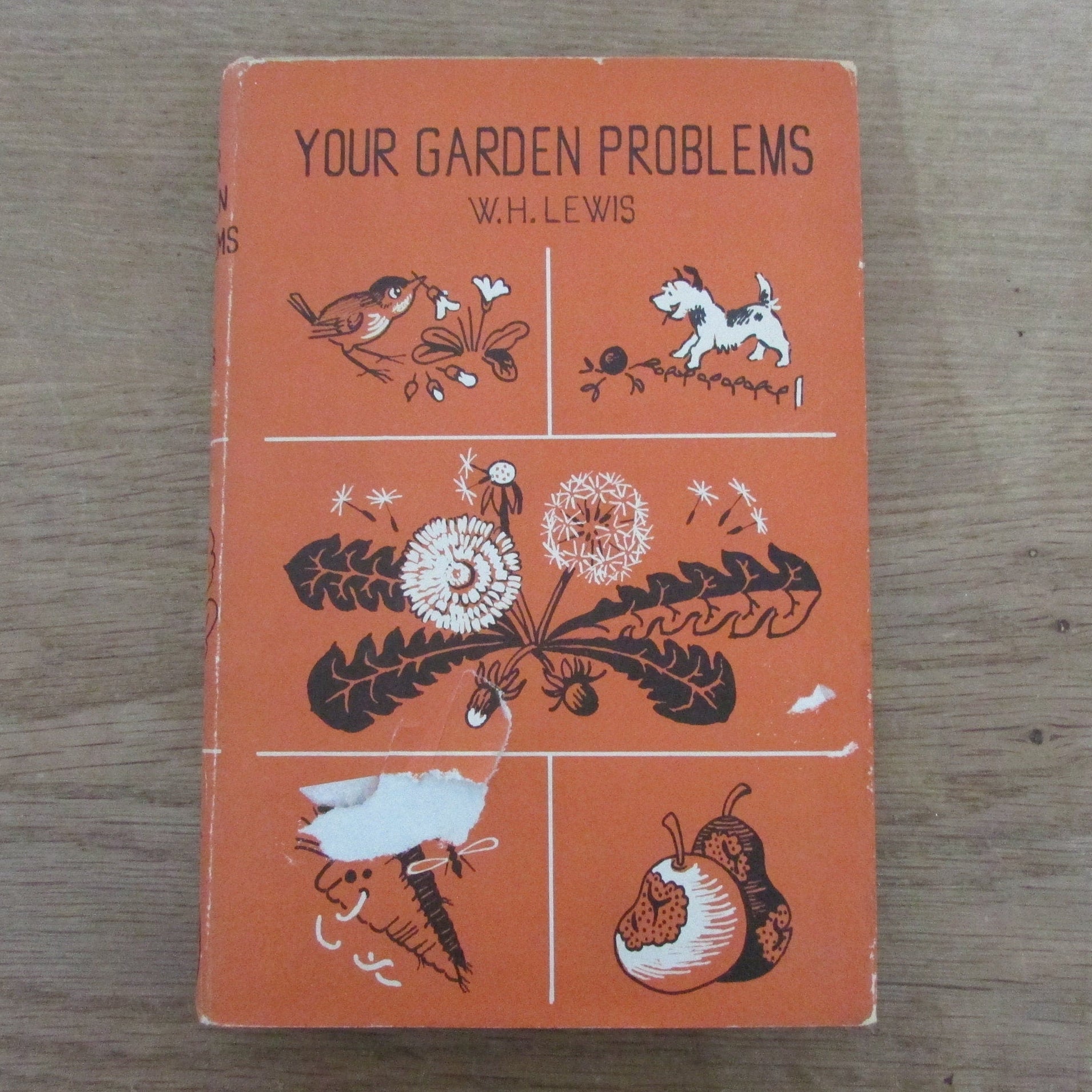Your Garden Problems, by W. H. Lewis (Hardback, 1965)
