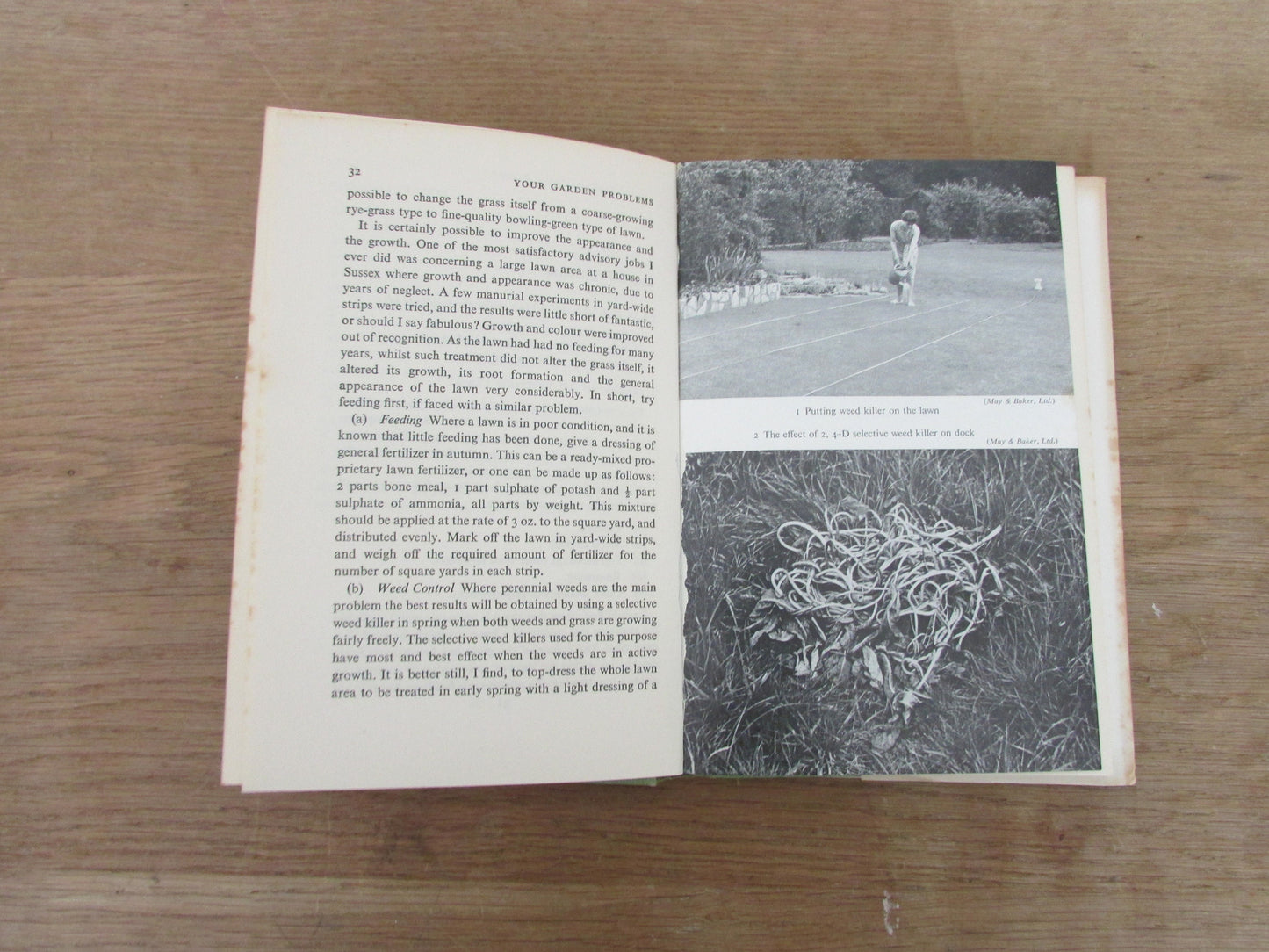 Your Garden Problems, by W. H. Lewis (Hardback, 1965)