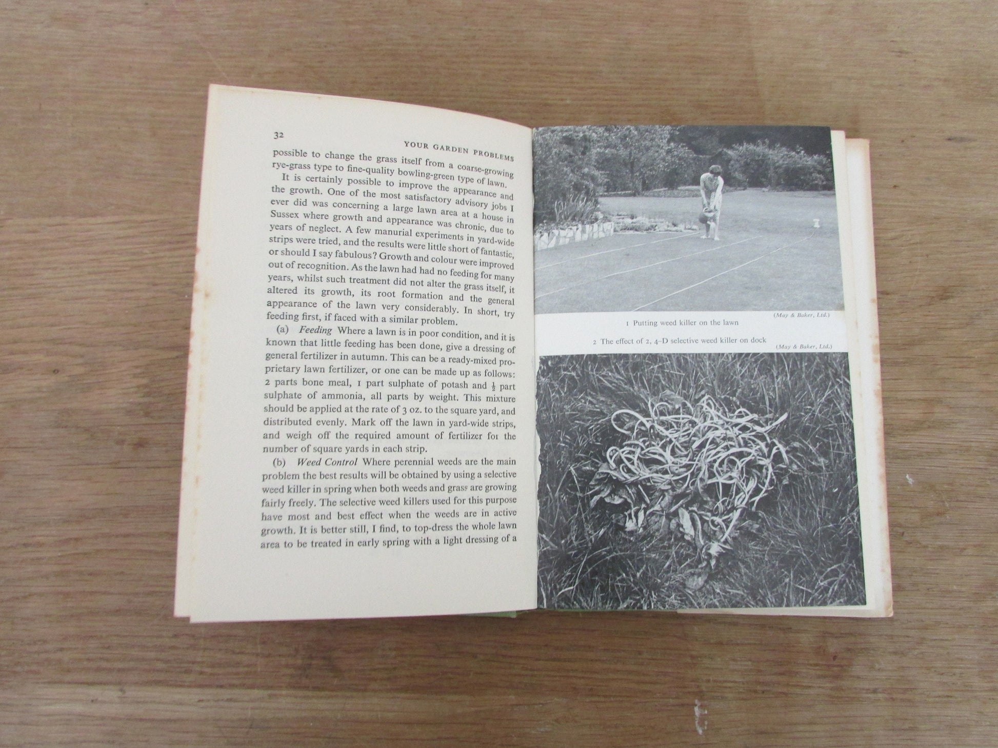Your Garden Problems, by W. H. Lewis (Hardback, 1965)