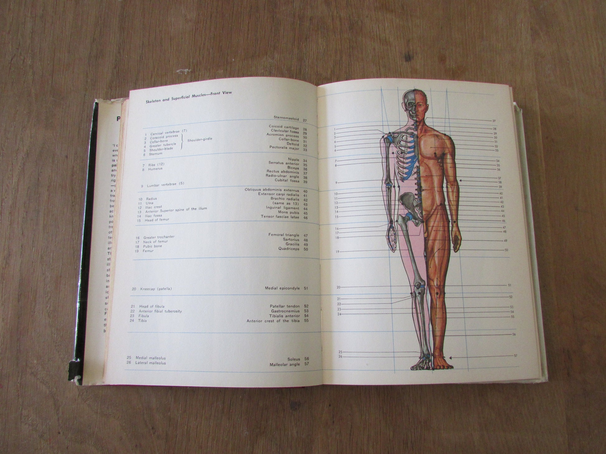 How to Paint and Draw..., by B. W. Jax Theimer (Hardback, 1972)