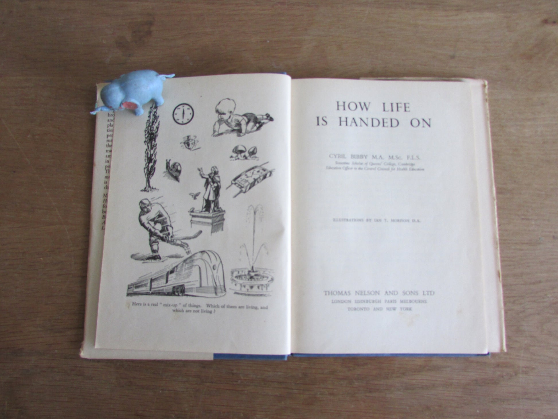 How Life is Handed On, by Cyril Bibby (Hardback, 1946)