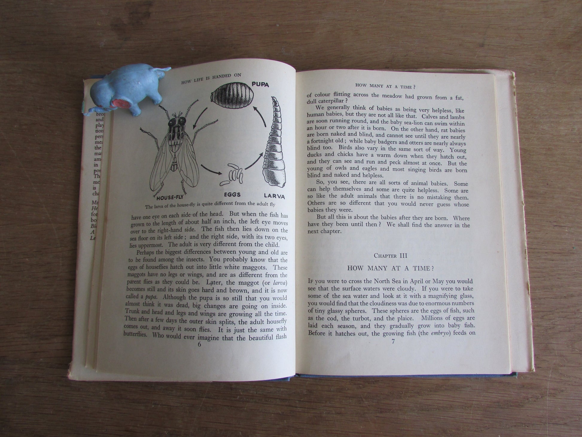 How Life is Handed On, by Cyril Bibby (Hardback, 1946)