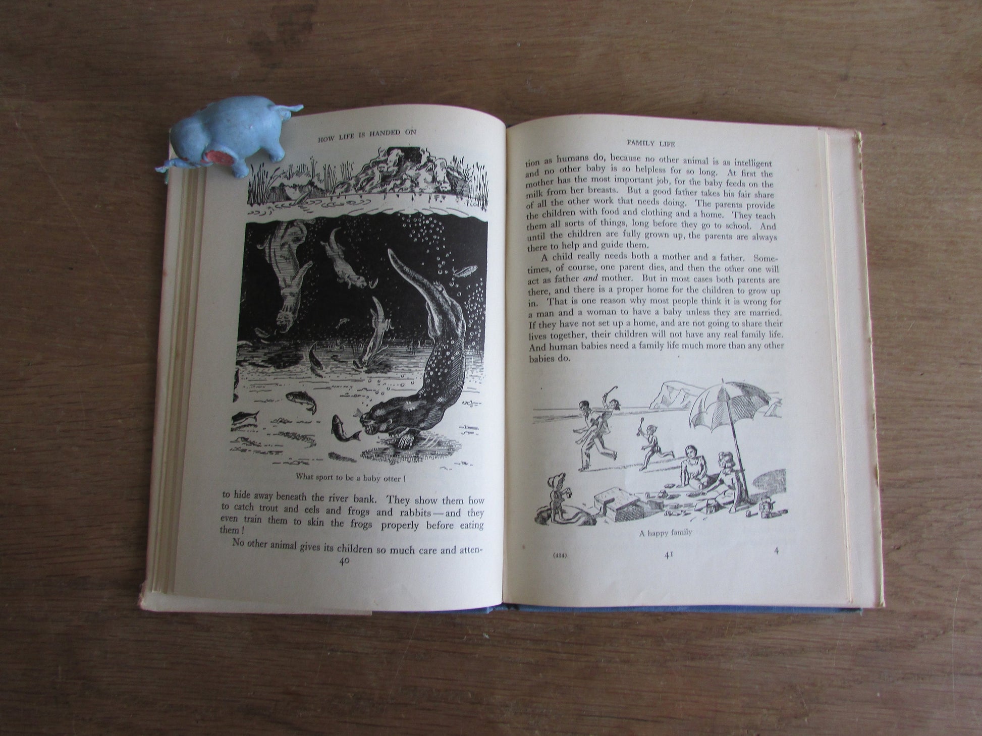 How Life is Handed On, by Cyril Bibby (Hardback, 1946)