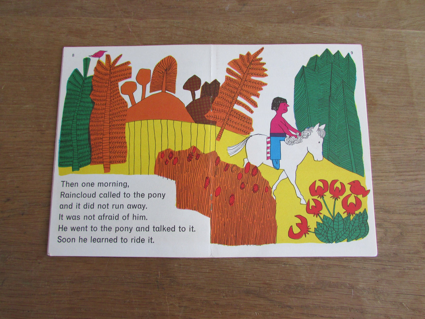 Longmans Ben Books: Raincloud the Red Indian (Softback, 1966)