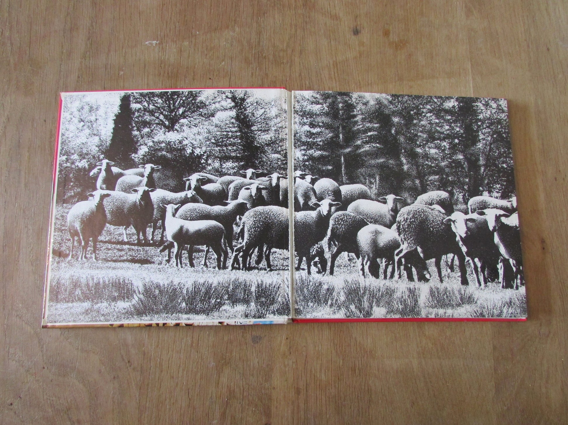 Knitting Patterns, Stitches & Styles, by Maureen Briggs (Hardback, 1977)