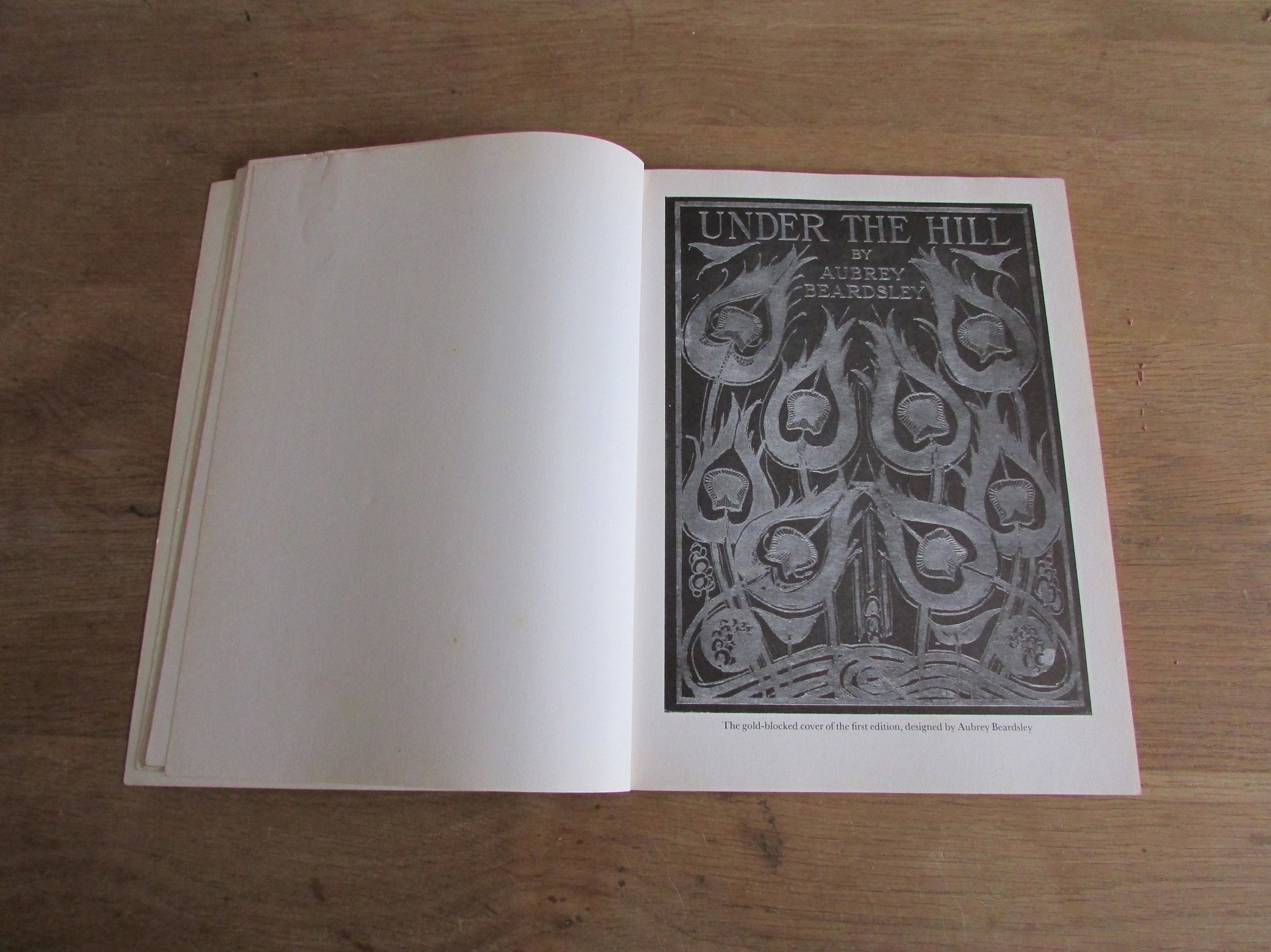 Under The Hill and Other Essays in Prose & Verse, by Aubrey Beasley (Softback, 1977)