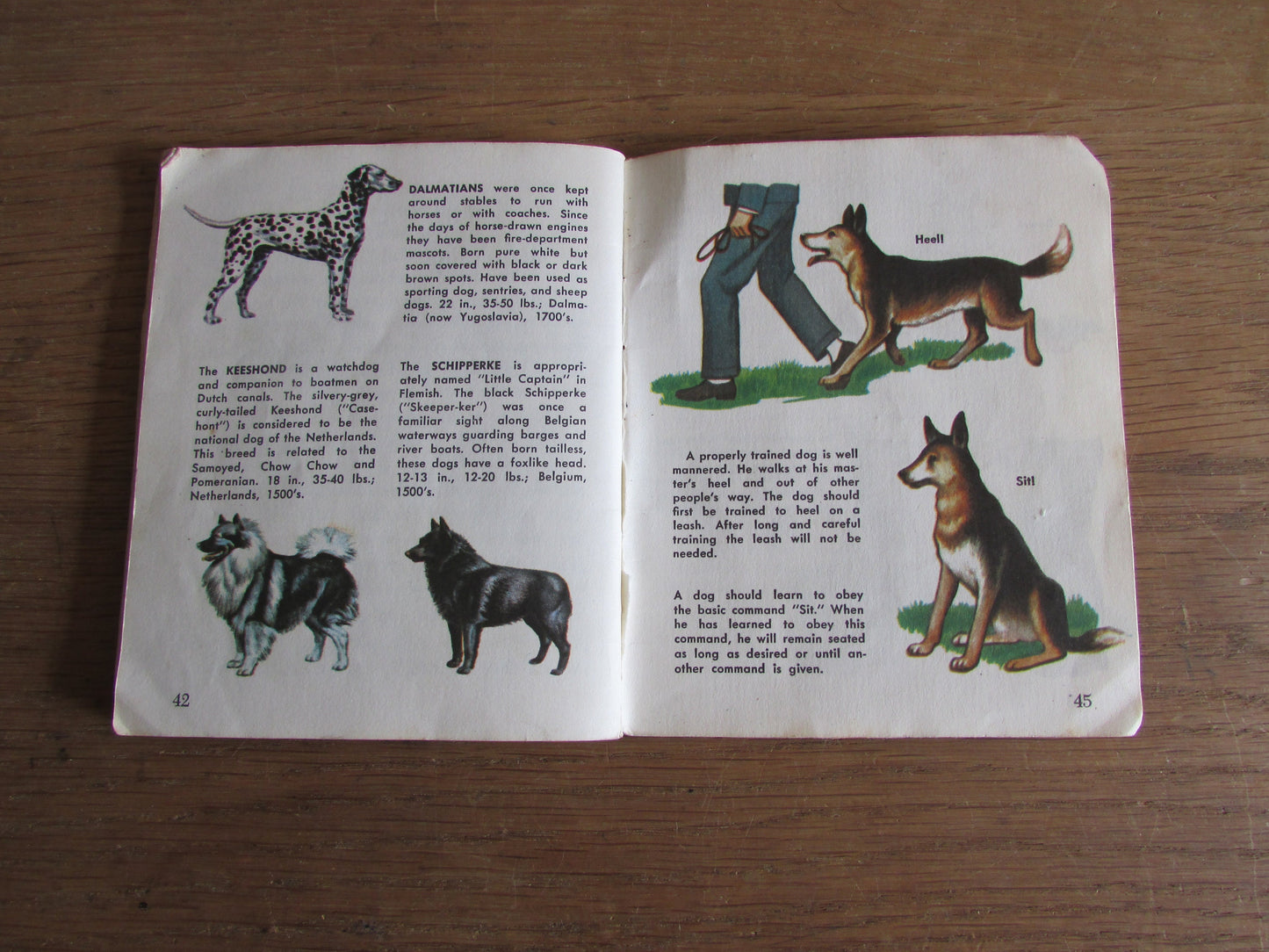 Dogs - a junior golden guide, by Mary B. Irving (Softback, 1963)