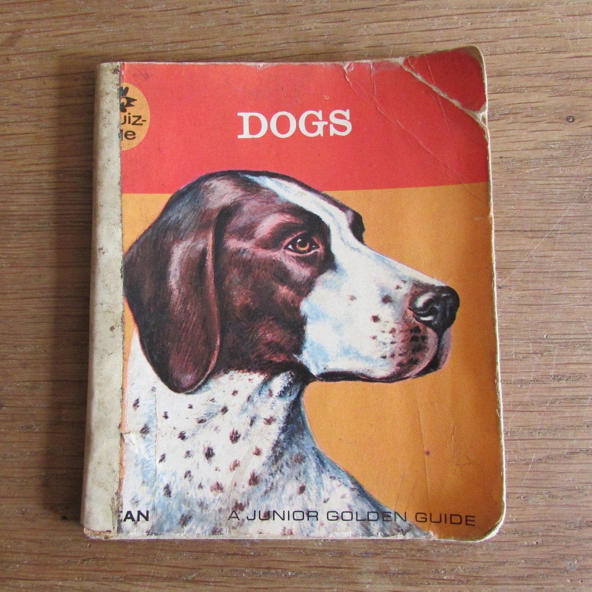 Dogs - a junior golden guide, by Mary B. Irving (Softback, 1963)
