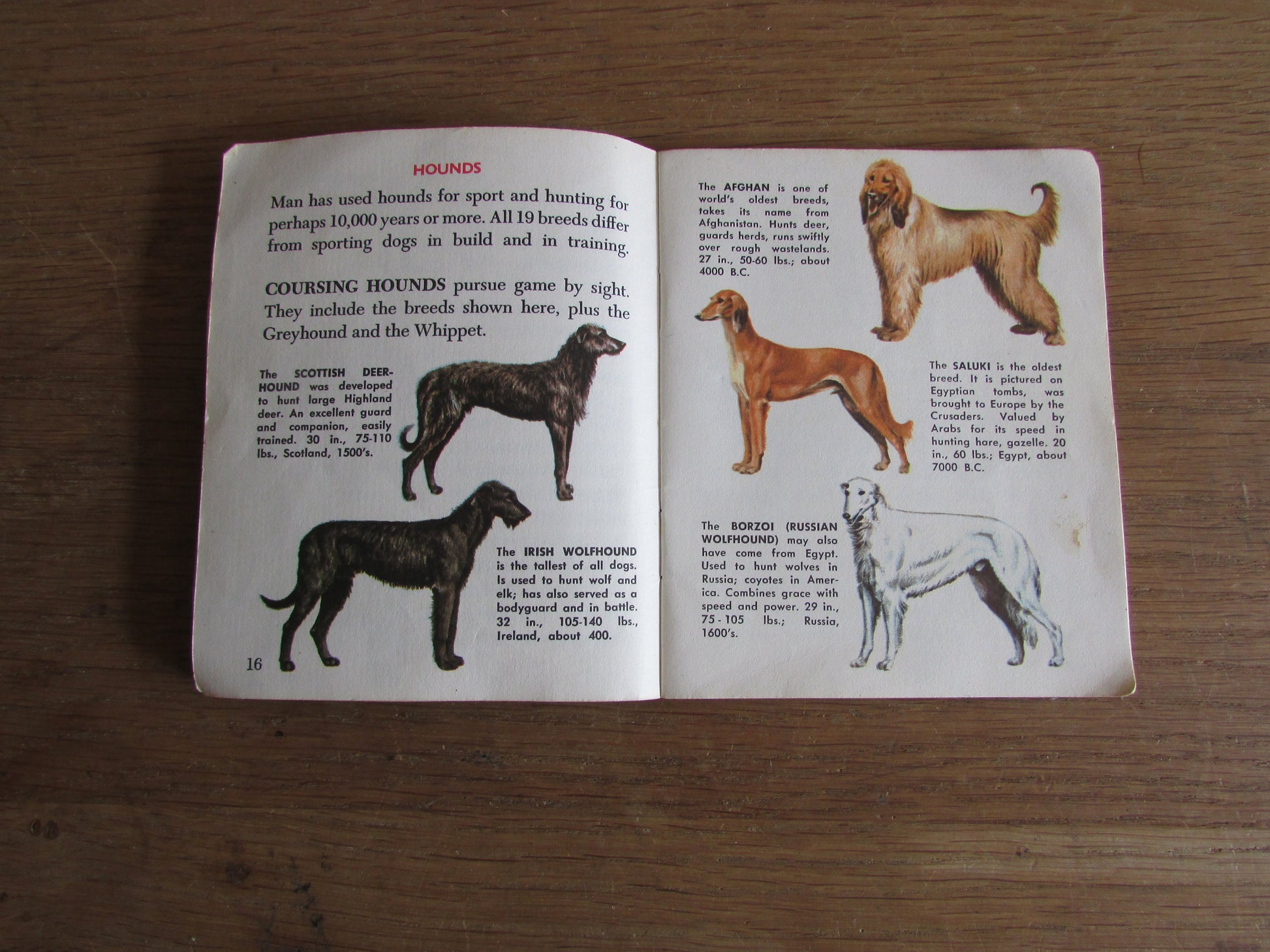 Dogs - a junior golden guide, by Mary B. Irving (Softback, 1963)