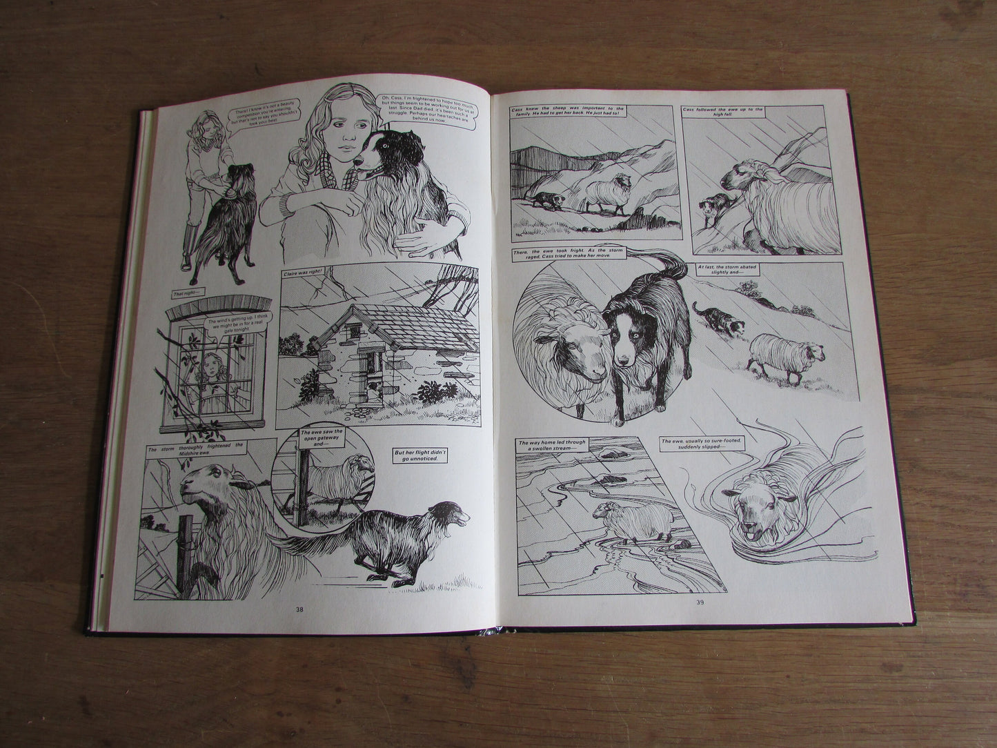 Diana for Girls annual (Hardback, 1984)