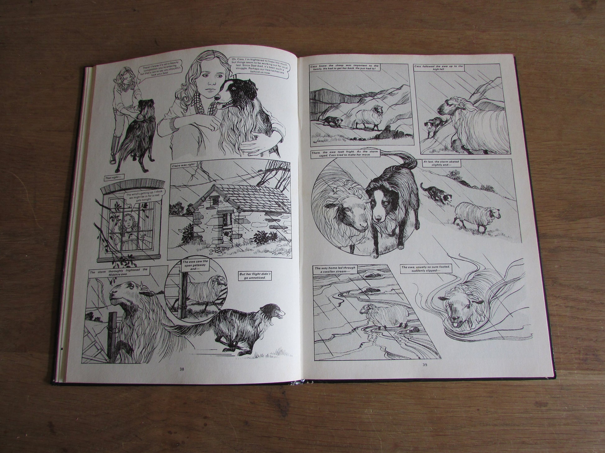 Diana for Girls annual (Hardback, 1984)