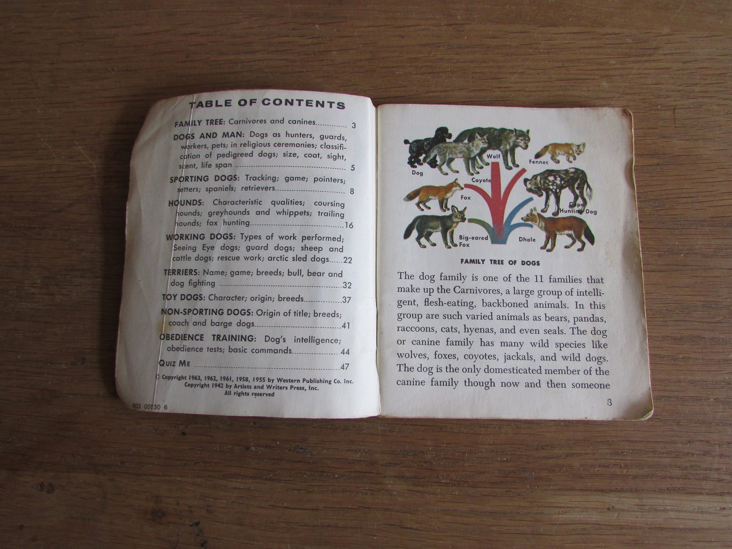 Dogs - a junior golden guide, by Mary B. Irving (Softback, 1963)