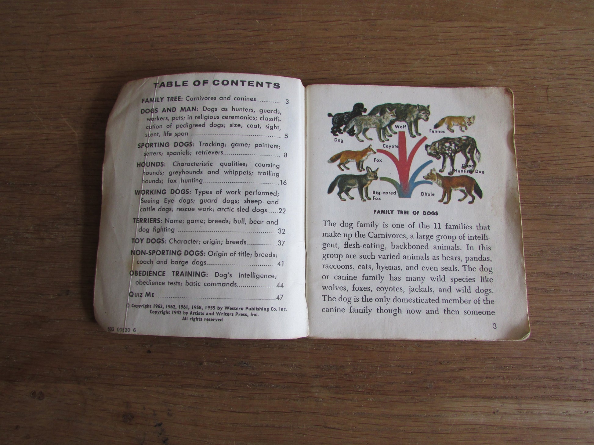 Dogs - a junior golden guide, by Mary B. Irving (Softback, 1963)