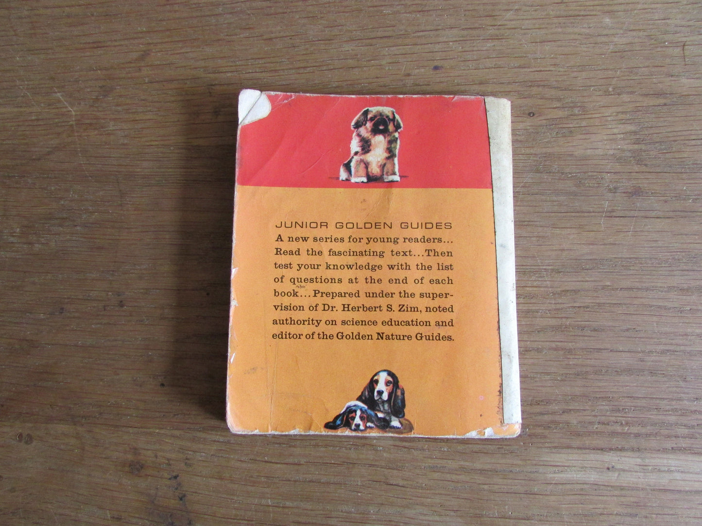 Dogs - a junior golden guide, by Mary B. Irving (Softback, 1963)