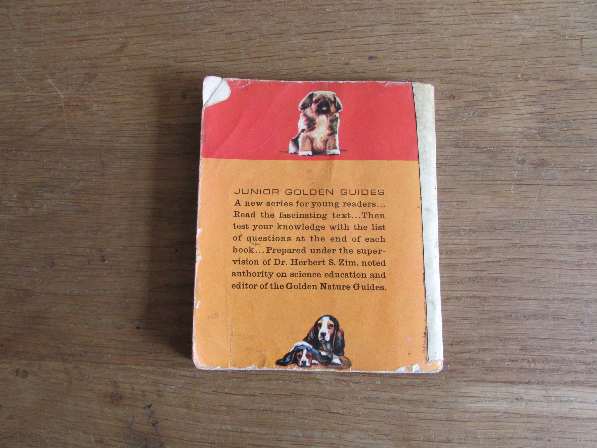 Dogs - a junior golden guide, by Mary B. Irving (Softback, 1963)