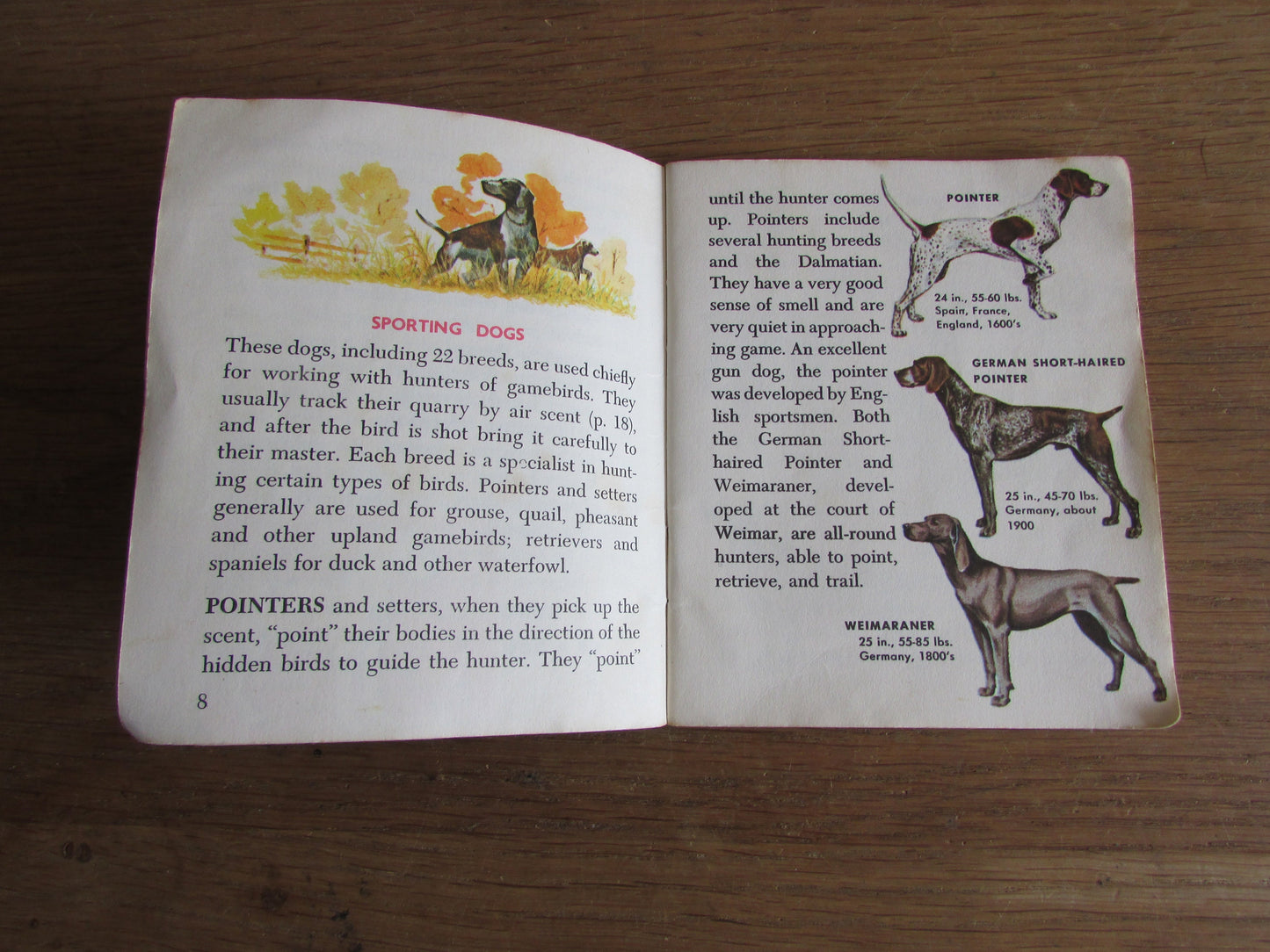Dogs - a junior golden guide, by Mary B. Irving (Softback, 1963)