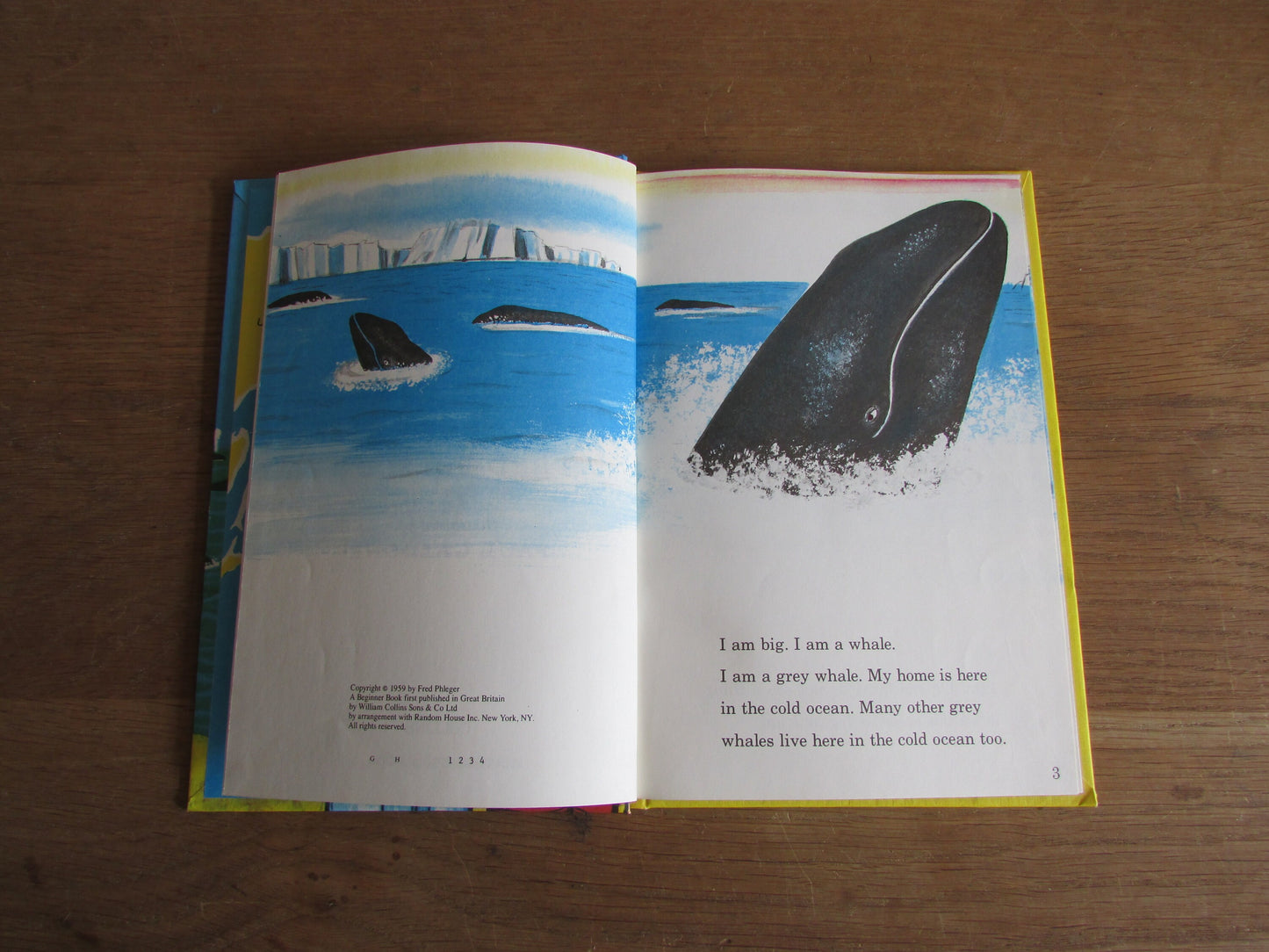 The Whales Go By, by Fred Phleger (Hardback, 1959)