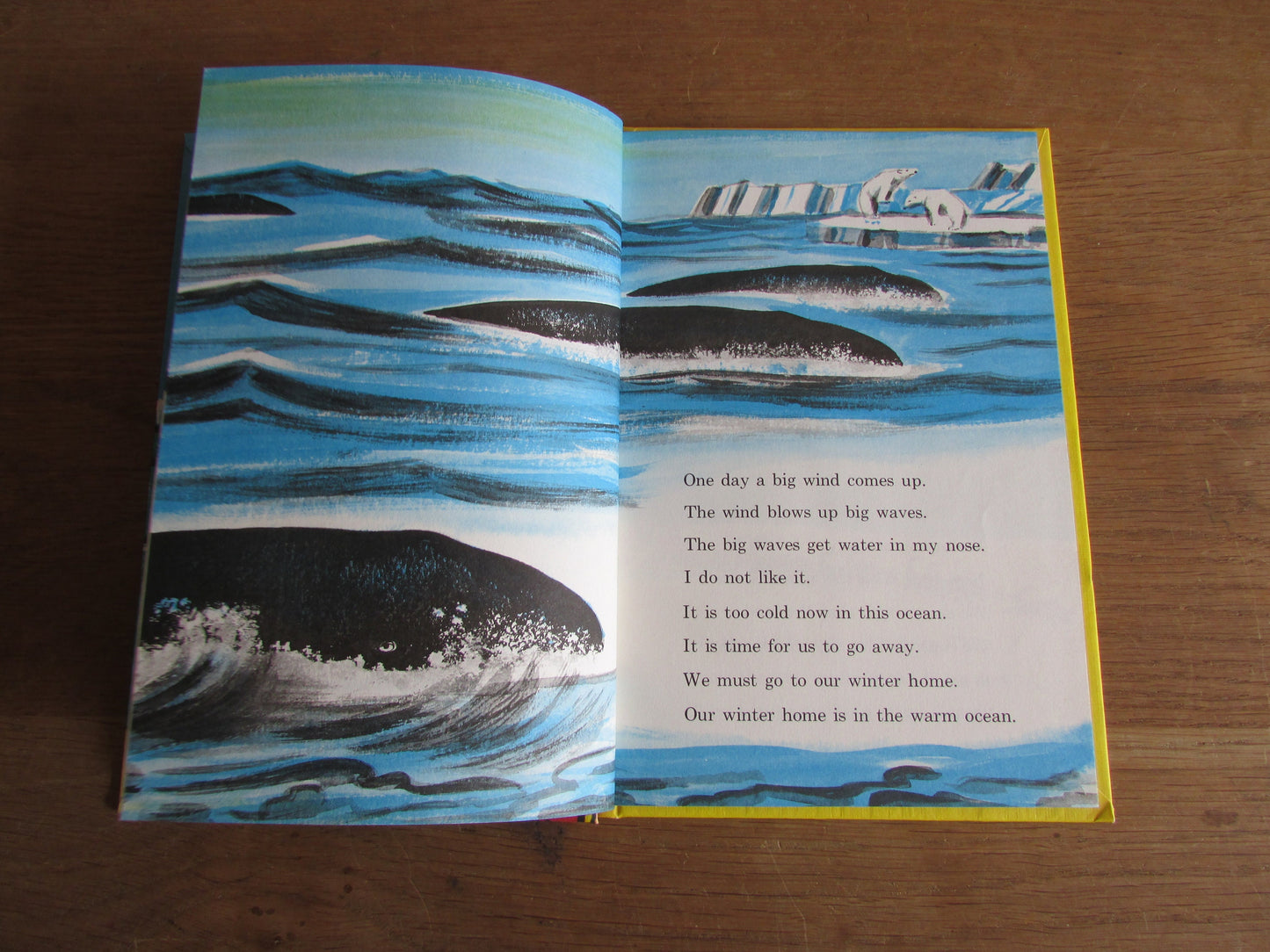 The Whales Go By, by Fred Phleger (Hardback, 1959)