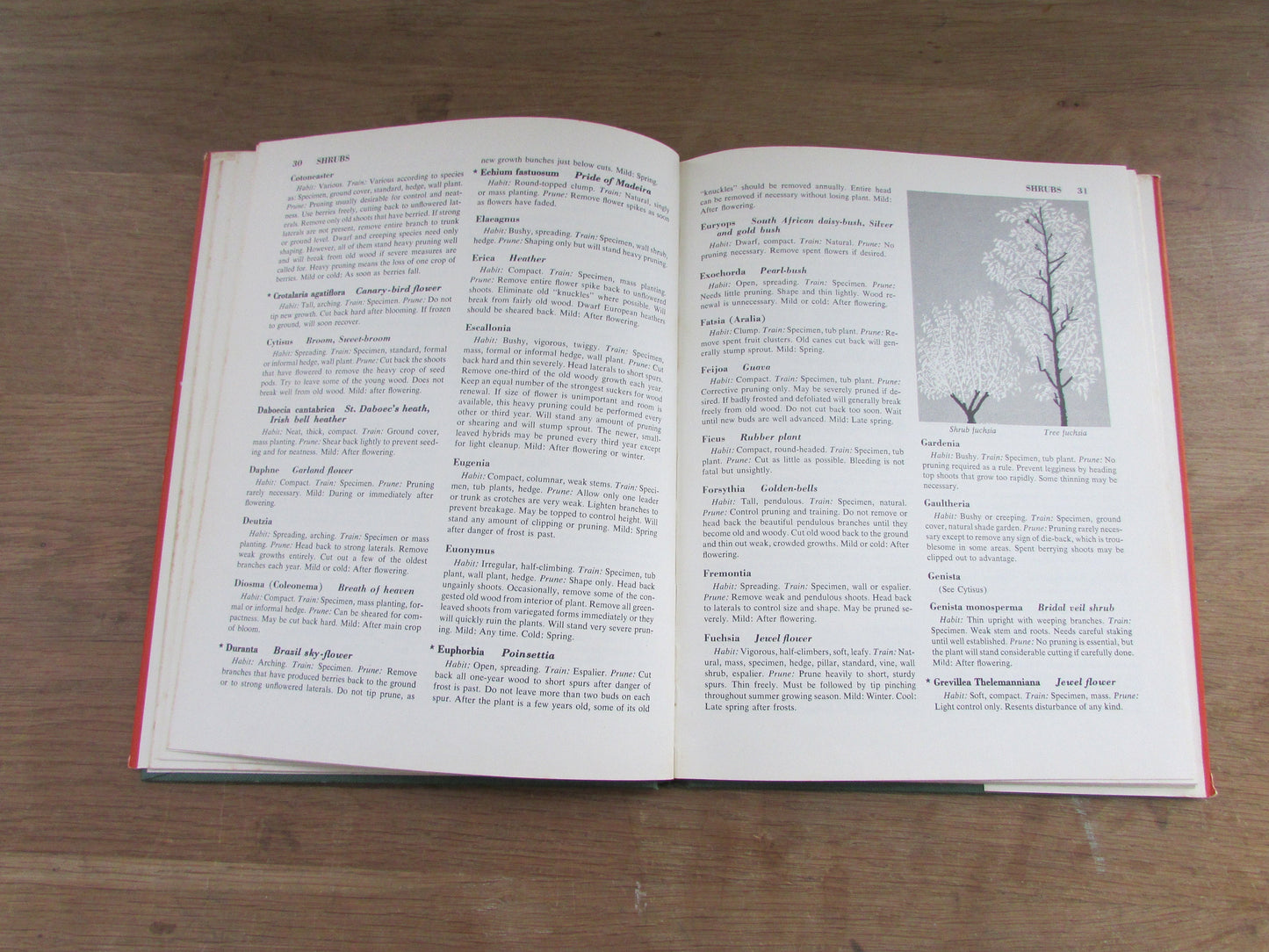 The Pruning Handbook, by Roy L. Hudson (Hardback, 1952)