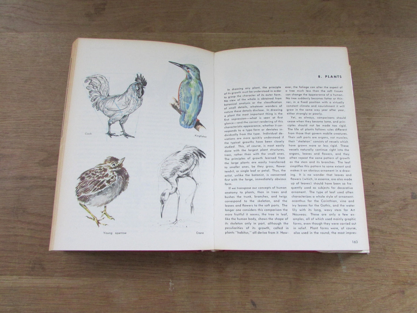 How to Paint & Draw, by B. W. Jax Theimer (Hardback, 1974)