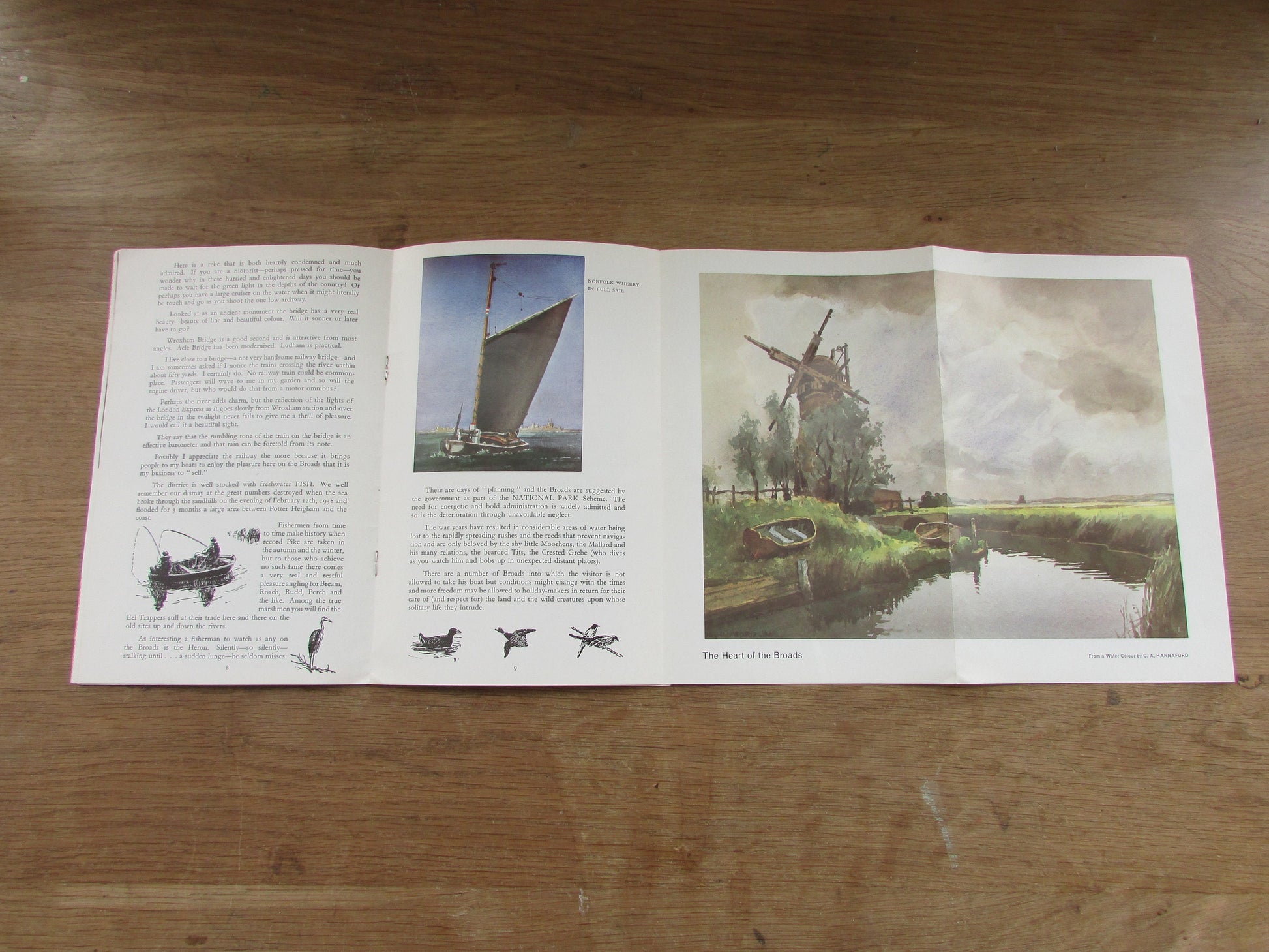 The Charm of The Norfolk Broads; notes & illustrations in colour and line, by C. A Hannaford R.B.A (Softback, 1970s)