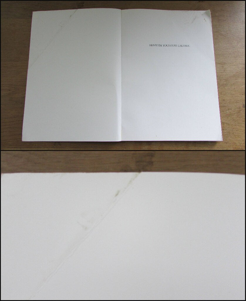 Toulouse Lautrec, by Froukje Hoekstra (Softback, 1994)