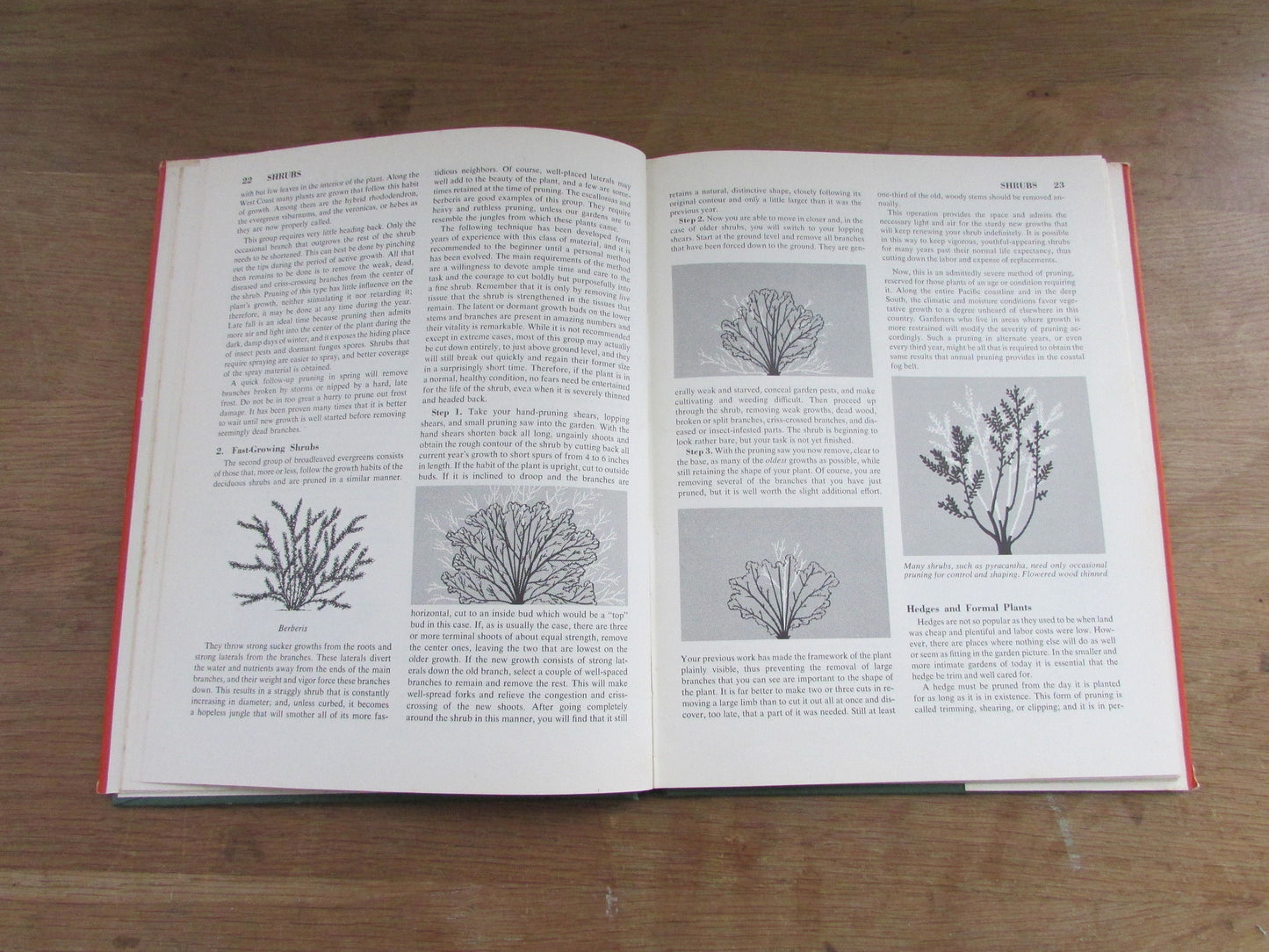 The Pruning Handbook, by Roy L. Hudson (Hardback, 1952)