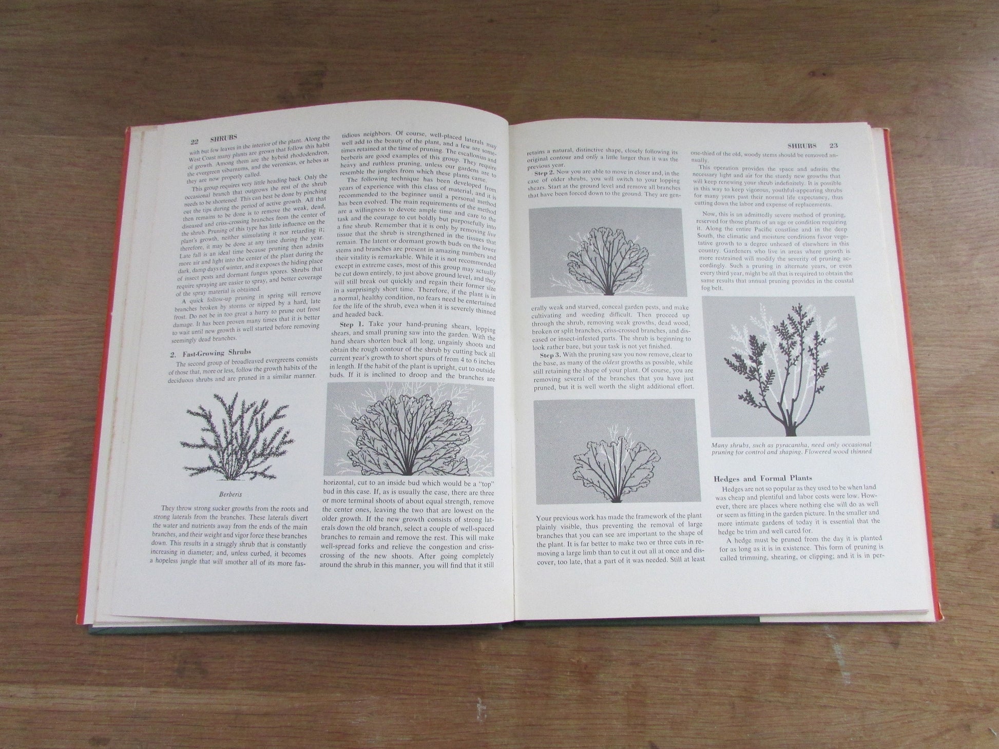 The Pruning Handbook, by Roy L. Hudson (Hardback, 1952)