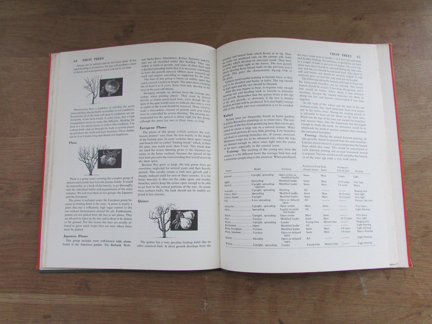 The Pruning Handbook, by Roy L. Hudson (Hardback, 1952)