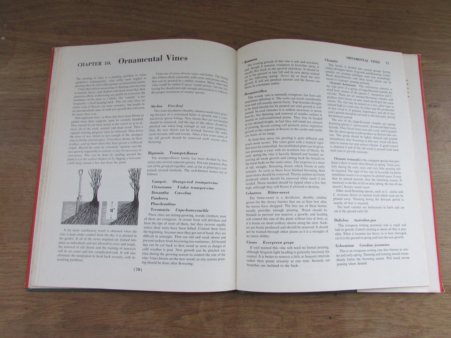 The Pruning Handbook, by Roy L. Hudson (Hardback, 1952)
