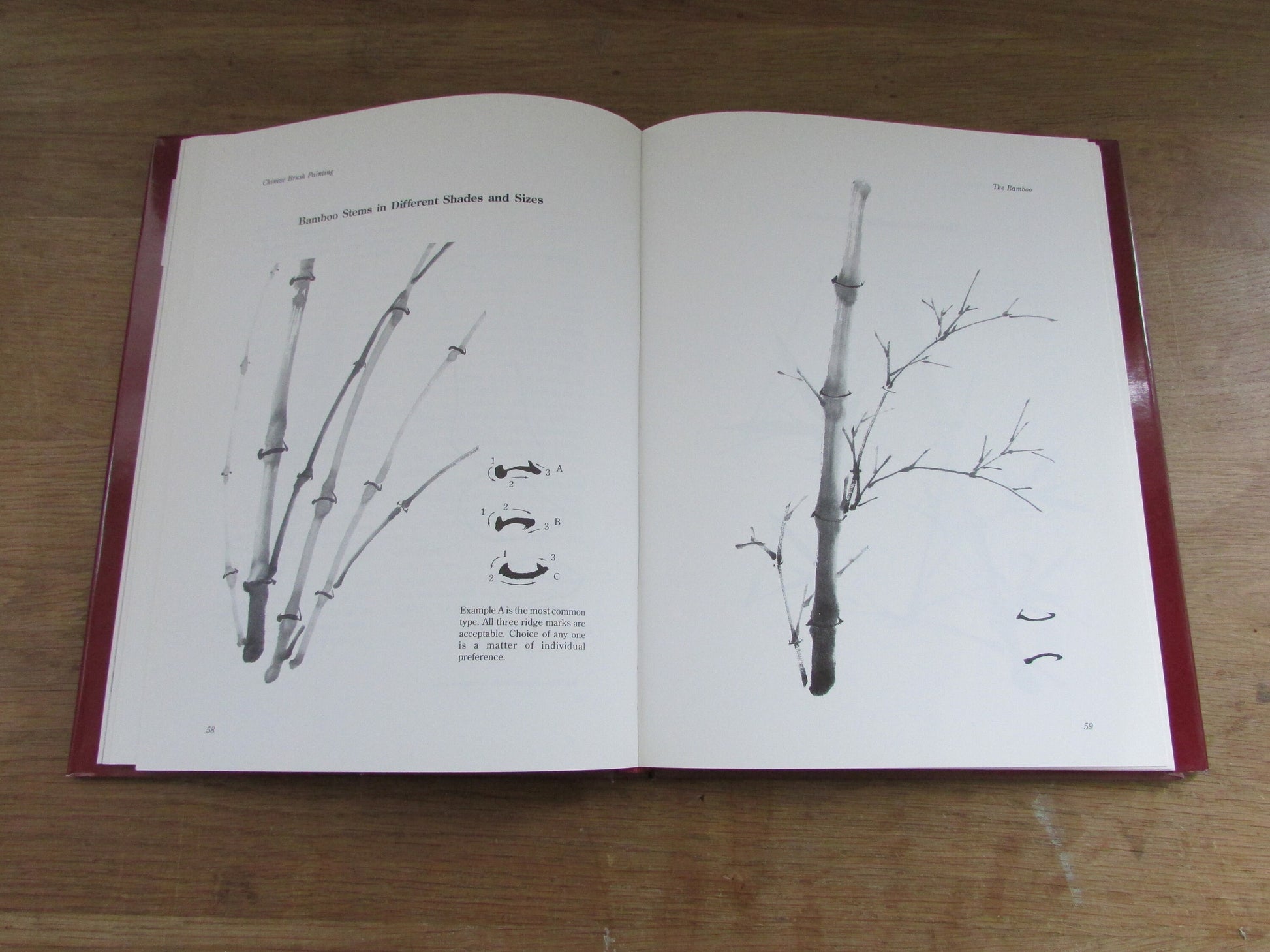 Chinese Brush Painting: a practical guide, by Joseph Chan (Hardback, 1991)