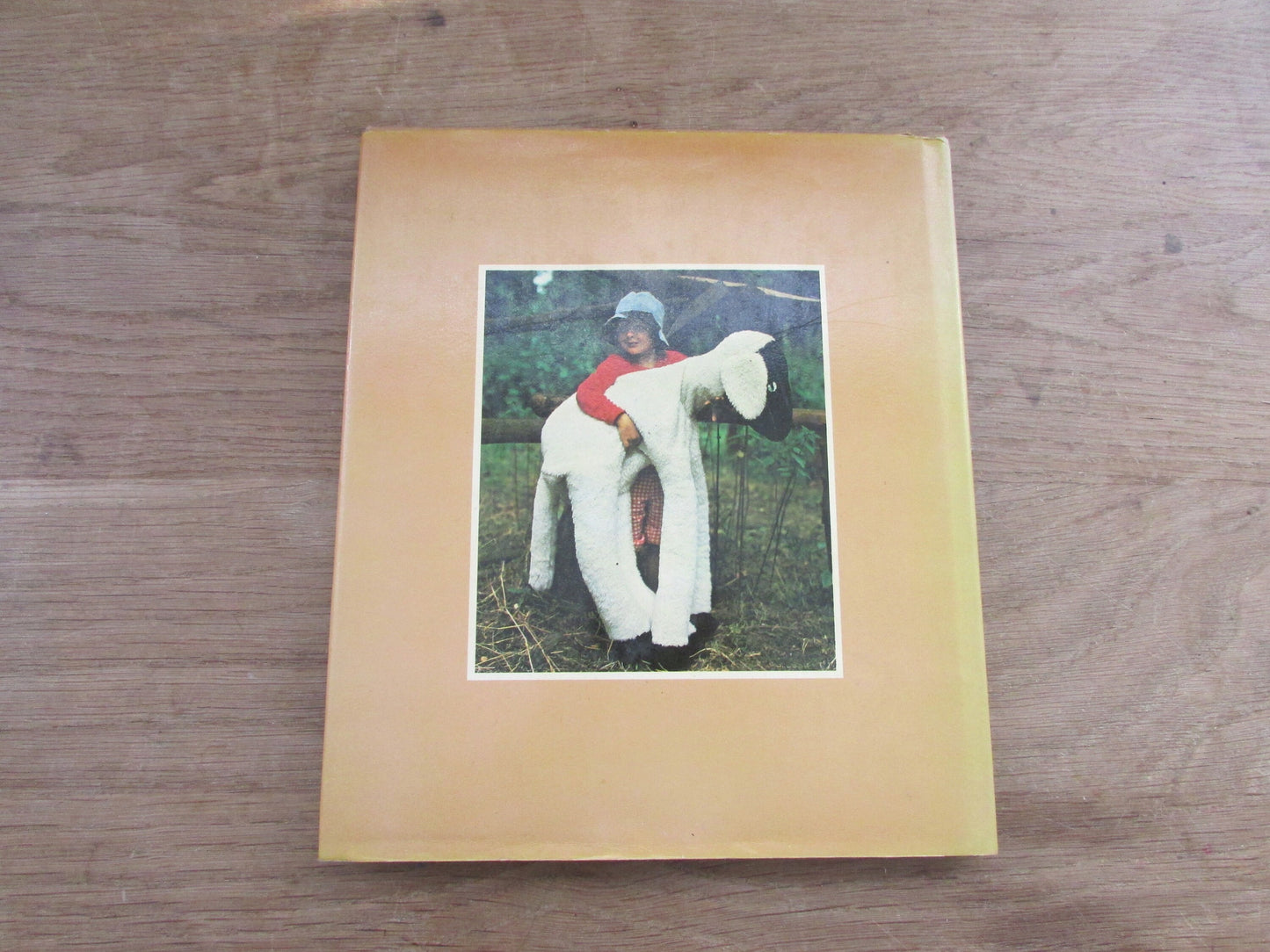 Toys & Puppets: Toys from Cloth, Kites and Balloons, Wooden Toys... (Hardback, 1979)