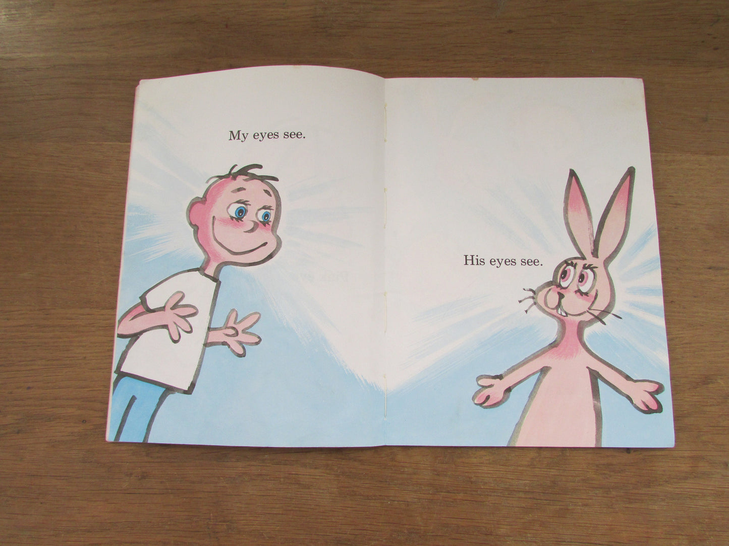 The Eye Book, by Theo Lesieg (Softback, 1969)