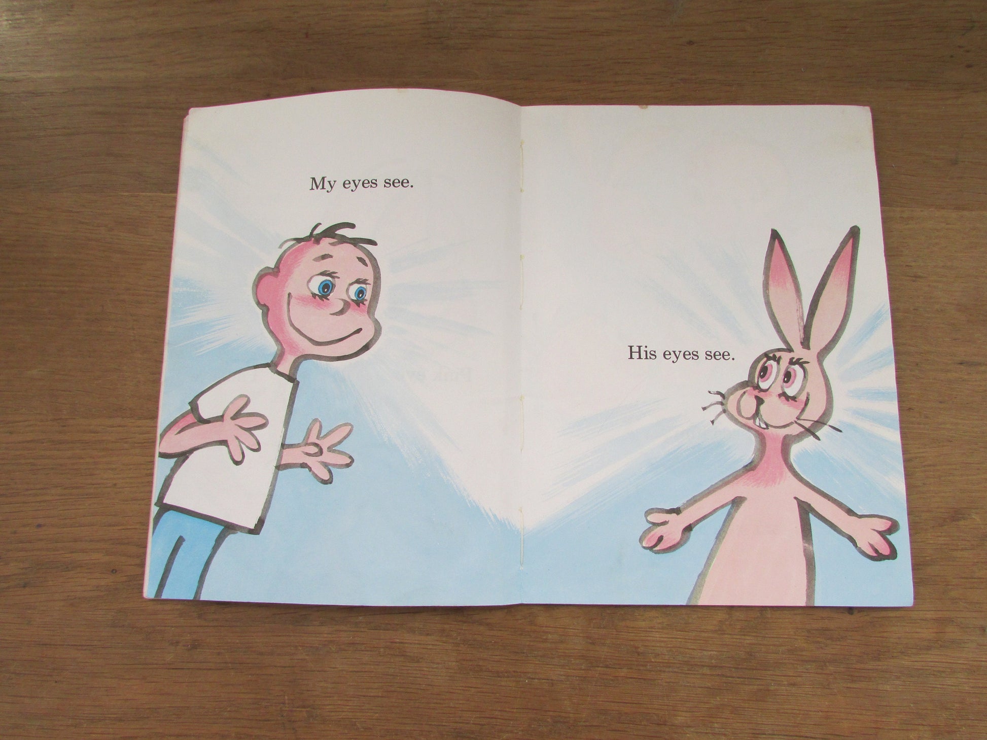 The Eye Book, by Theo Lesieg (Softback, 1969)