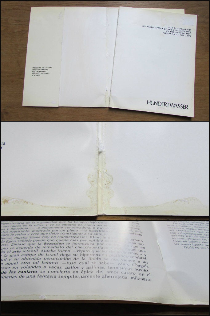 Hundertwasser. Sala de Exposiciones del Museo Español de Arte Contemporáneo (Softback, 1979)