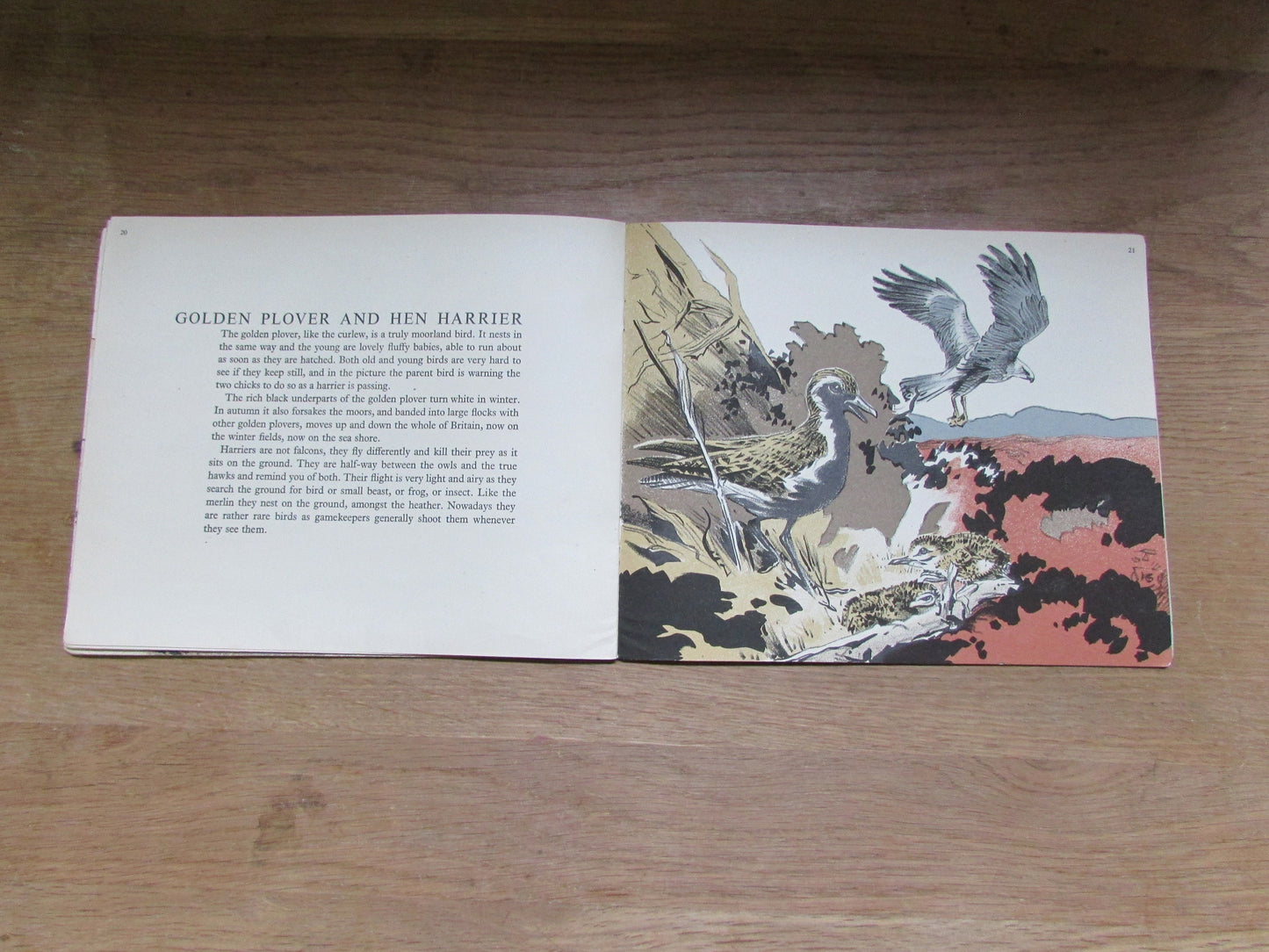 Mountain and Moorland Birds, by R. B Talbot Kelly (Softback, 1940s)