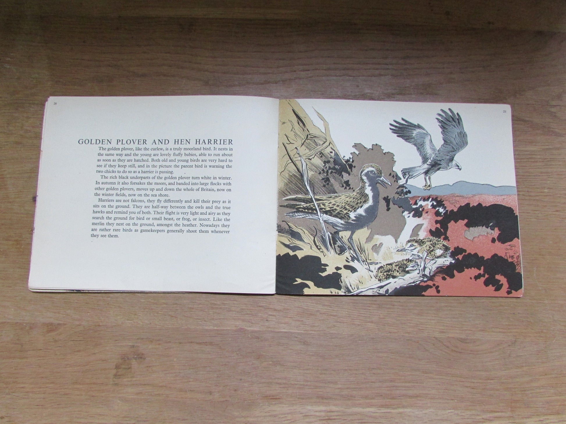 Mountain and Moorland Birds, by R. B Talbot Kelly (Softback, 1940s)