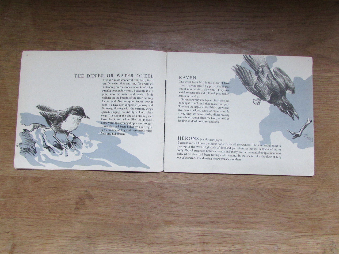 Mountain and Moorland Birds, by R. B Talbot Kelly (Softback, 1940s)