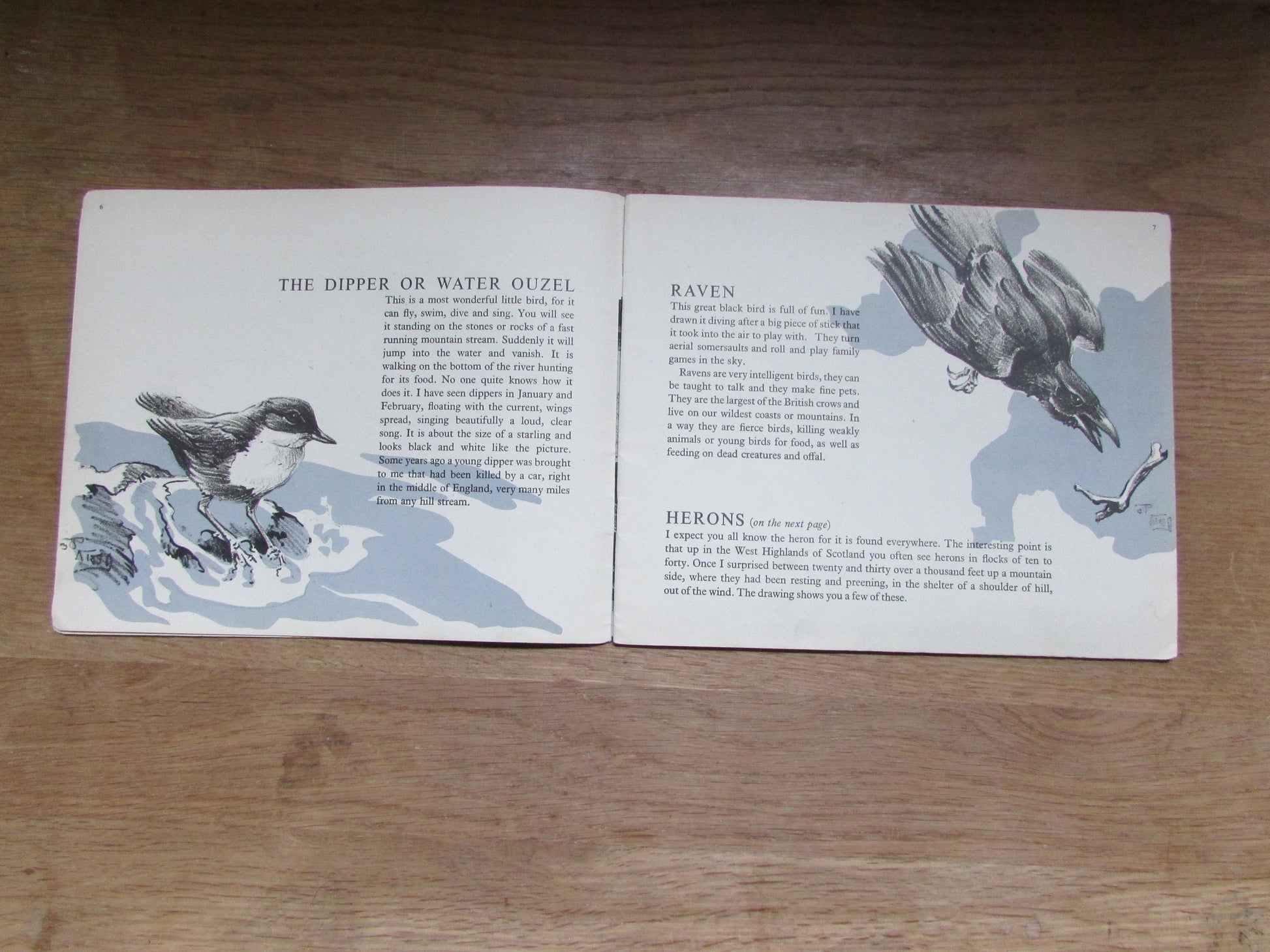 Mountain and Moorland Birds, by R. B Talbot Kelly (Softback, 1940s)