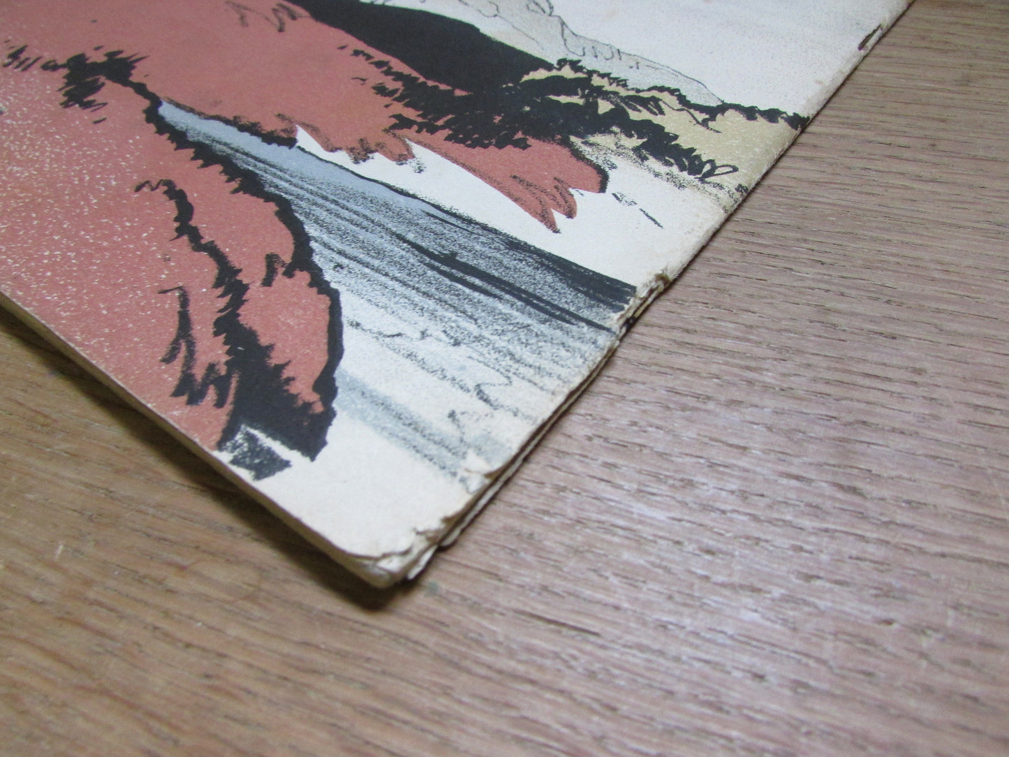 Mountain and Moorland Birds, by R. B Talbot Kelly (Softback, 1940s)