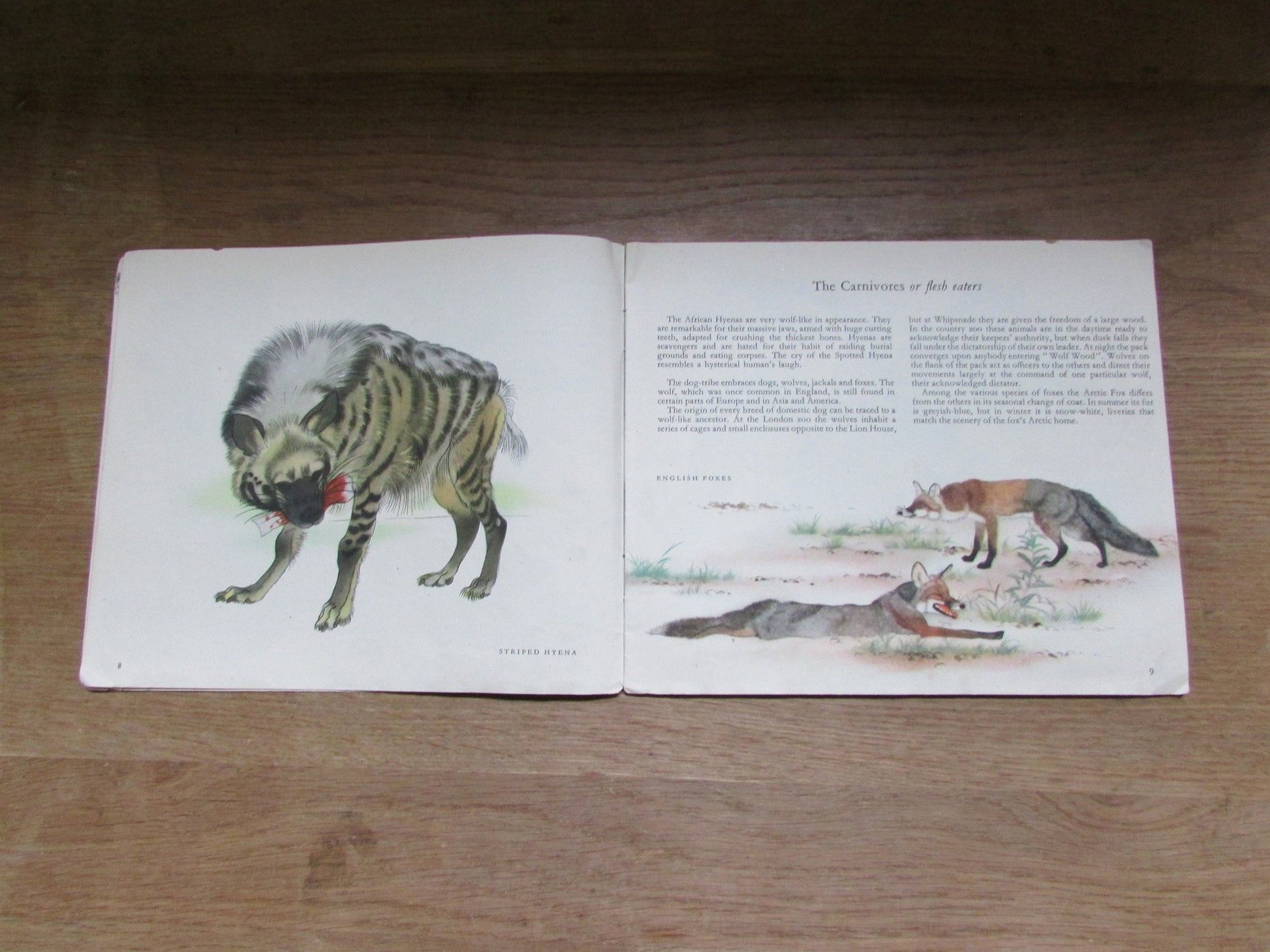 Zoo Animals, by E.G Boulenger (Softback, 1948)