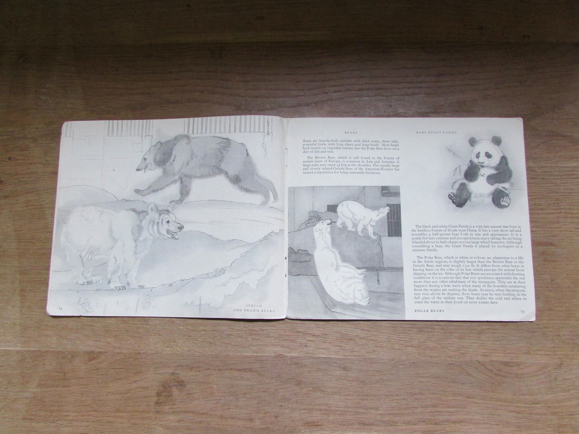 Zoo Animals, by E.G Boulenger (Softback, 1948)
