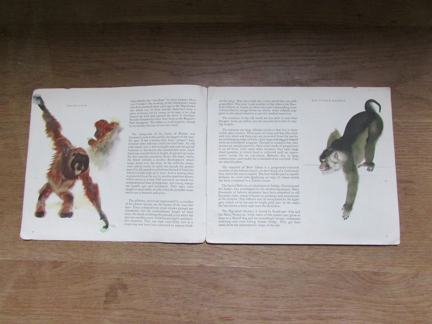 Zoo Animals, by E.G Boulenger (Softback, 1948)