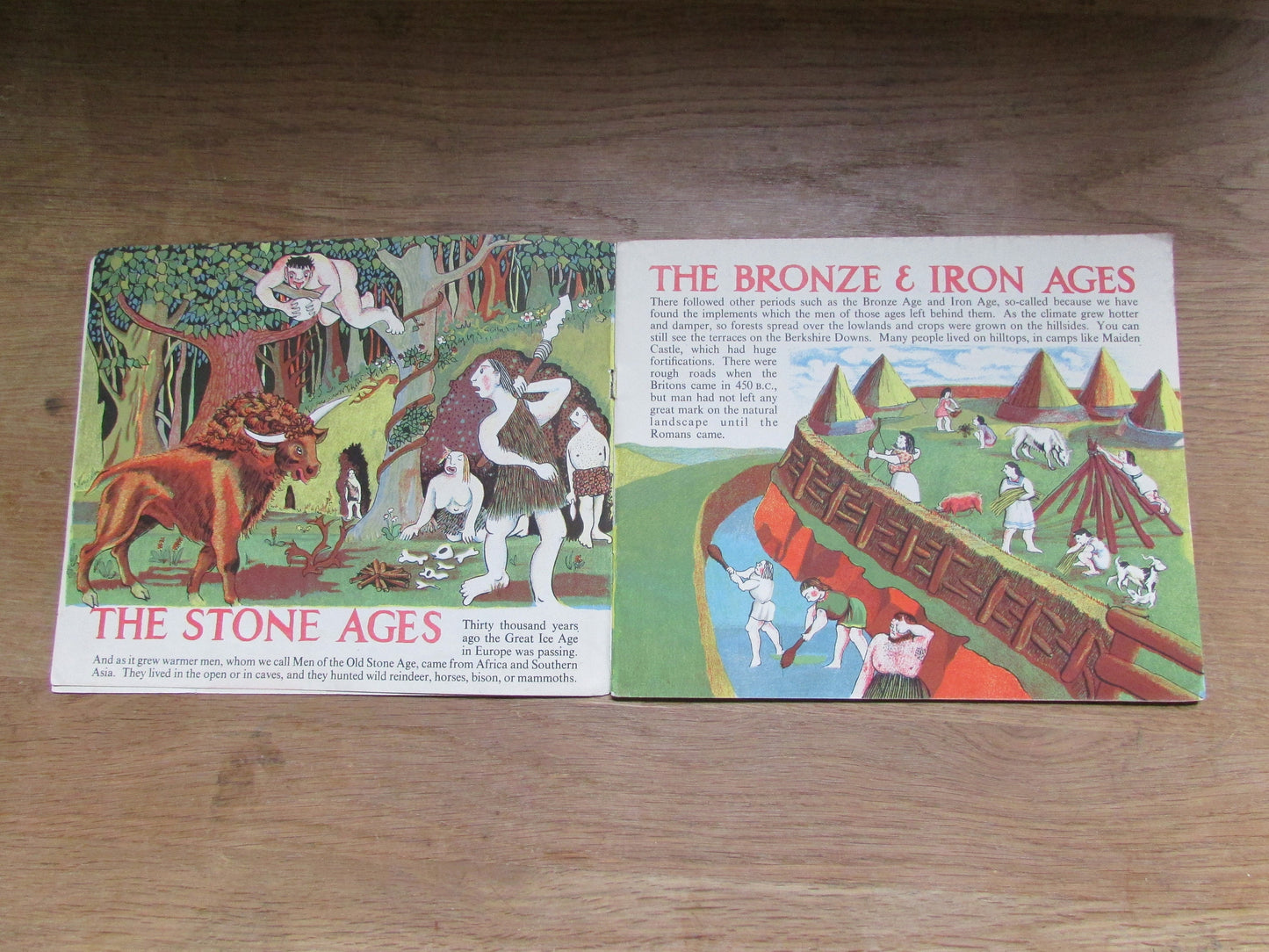 A History of the Countryside, by Margaret & Alexander Potter (Softback, 1944)