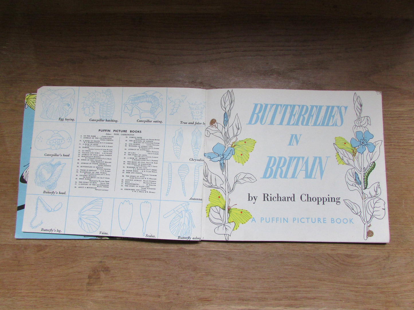 Butterflies in Britain, by Richard Chopping (Hardback, 1940s)