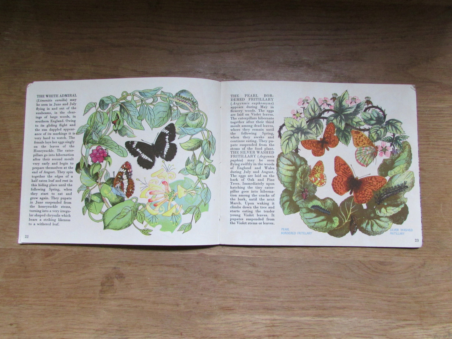 Butterflies in Britain, by Richard Chopping (Hardback, 1940s)